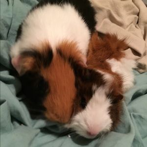 Meet your Posher, Kate